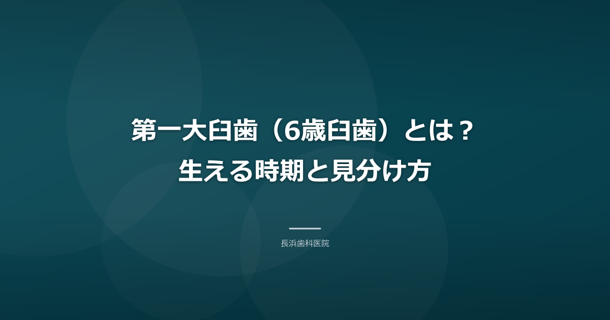 第一大臼歯(6歳臼歯)とは?生える時期と見分け方