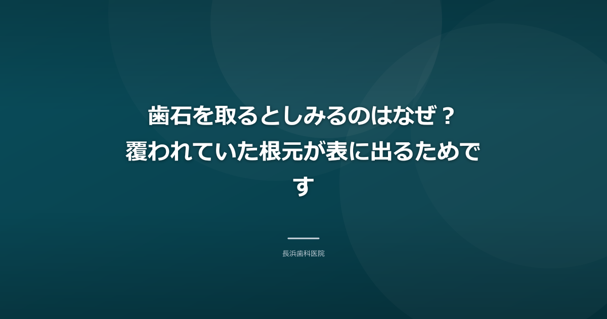 歯石を取るとしみるのはなぜ?覆われていた根元が表に出るためです