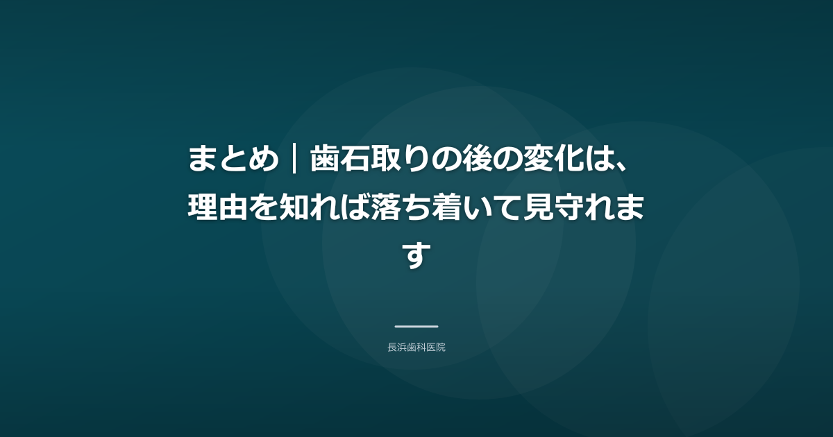 まとめ|歯石取りの後の変化は、理由を知れば落ち着いて見守れます