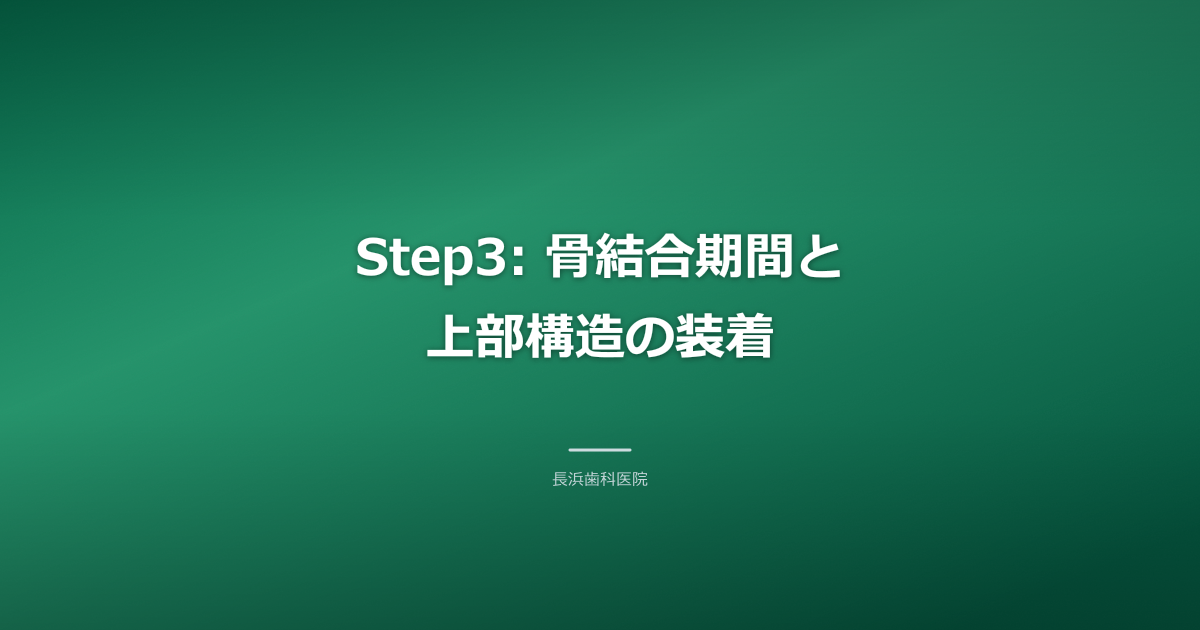 歯茎からインプラントの土台が顔を出し、その上に歯の模型が置かれている様子