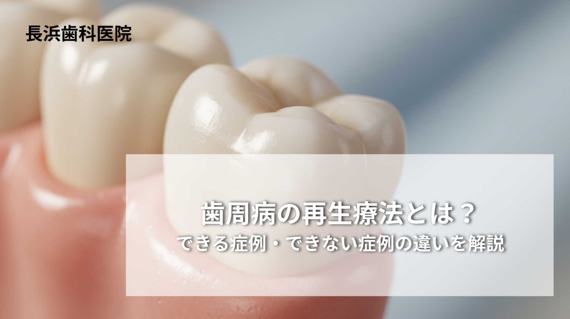 歯周病の再生治療とは？できる症例・できない症例の違いを解説