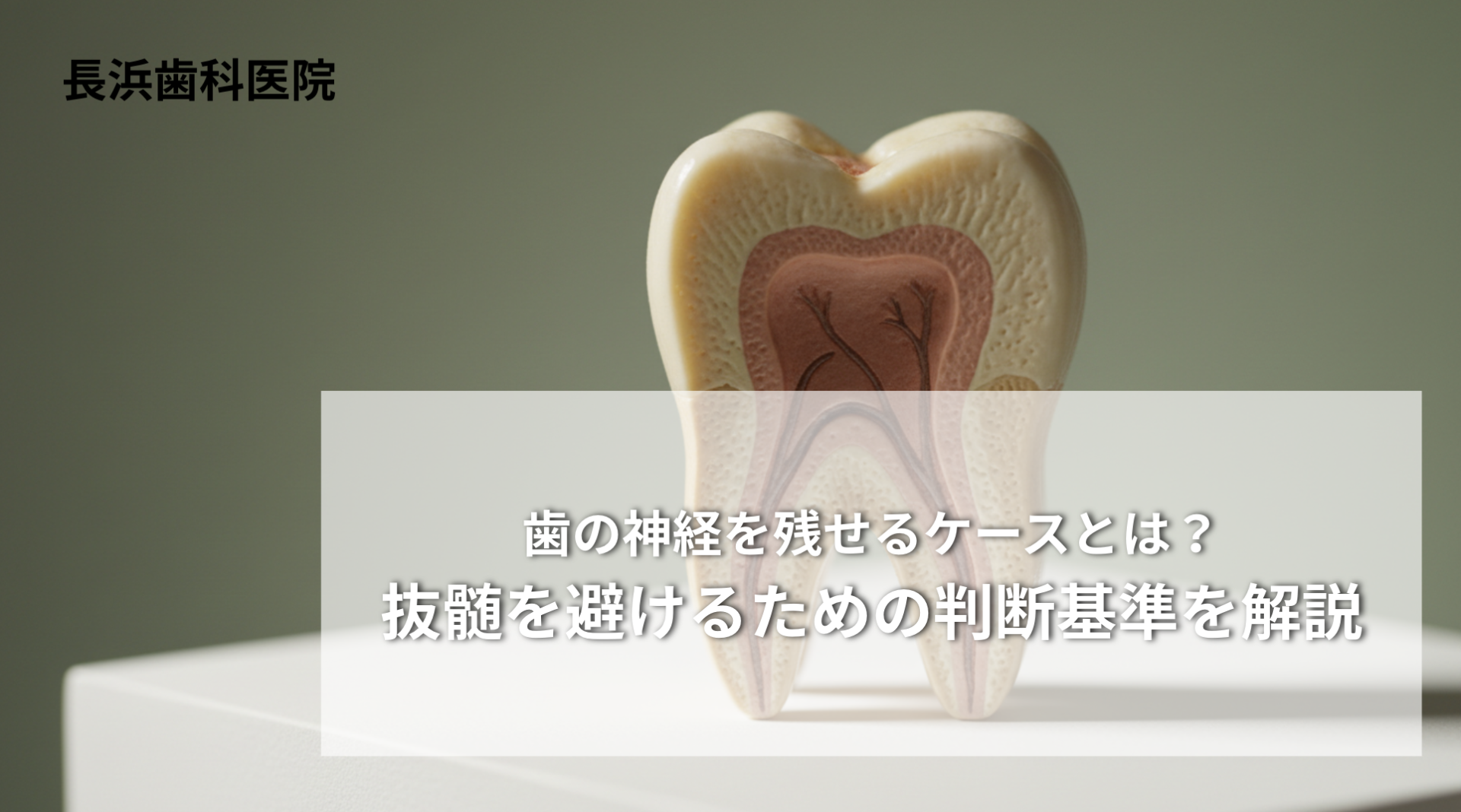 歯の神経を残せるケースとは？抜髄を避けるための判断基準を解説